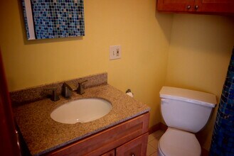 11 Summit Rd in Storrs Mansfield, CT - Building Photo - Building Photo