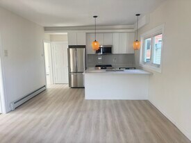144 Spring St, Unit 3 in Cambridge, MA - Building Photo