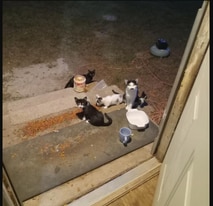 281 Gholson Ave, Unit A in Henderson, NC - Building Photo