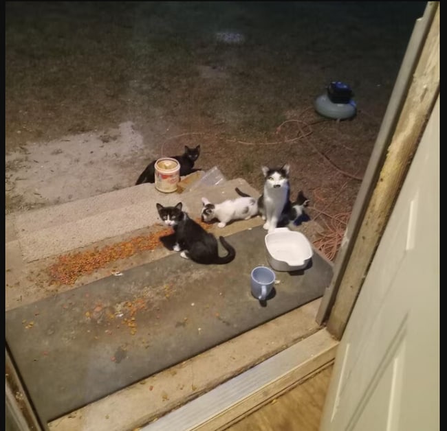 281 Gholson Ave, Unit A