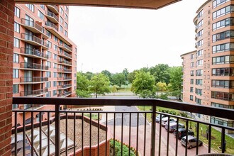 801 15th St S in Arlington, VA - Foto de edificio - Building Photo