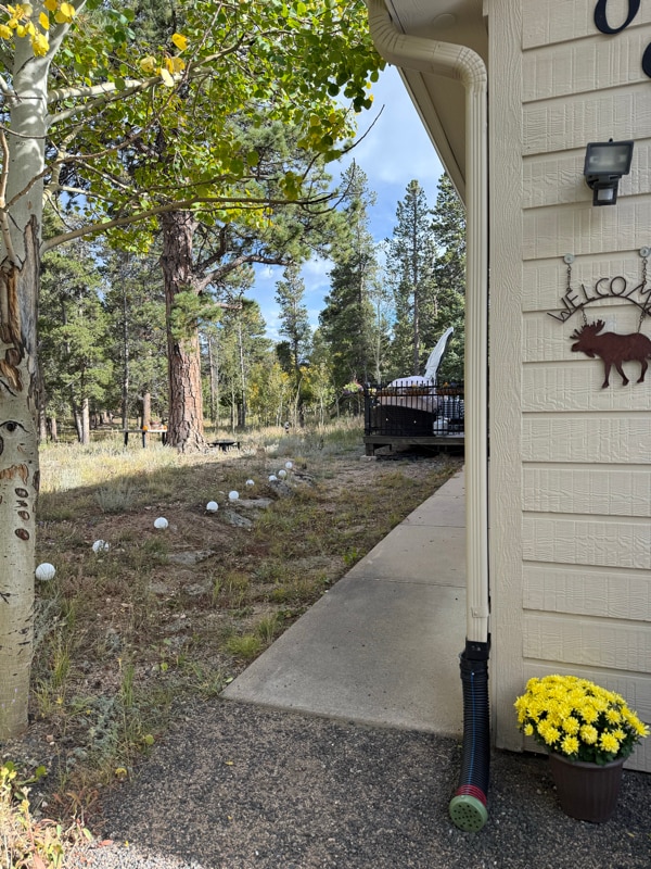 206 E Dory Dr in Black Hawk, CO - Building Photo - Building Photo