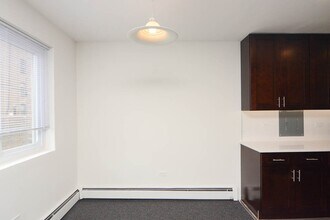 520 Aldine in Chicago, IL - Building Photo - Building Photo