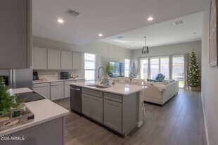 44583 W Palo Olmo Rd in Maricopa, AZ - Building Photo