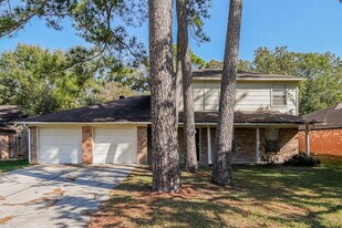25106 Lynbriar Ln in Spring, TX - Building Photo