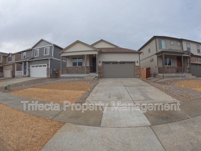 1938 Raindrop Dr in Windsor, CO - Building Photo - Building Photo