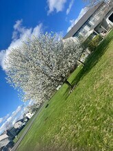 2615 Lincolnshire Dr in Delaware, OH - Building Photo - Building Photo