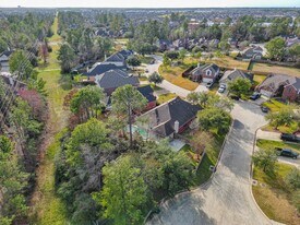 21146 Terrace Vine Ln in Spring, TX - Building Photo