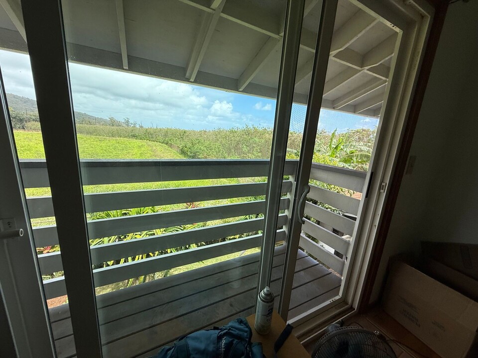 4417 Hanamaulu Pl in Lihue, HI - Building Photo