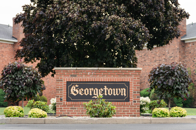 Georgetown Apartments in Williamsville, NY - Building Photo - Building Photo