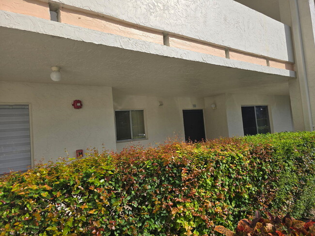 property at 3186 Via Poinciana