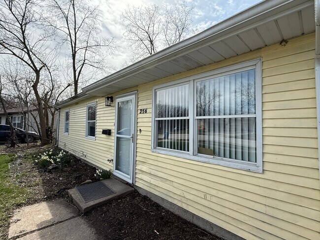 256 Plymouth Dr in Chicago Heights, IL - Building Photo - Building Photo