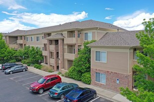 The Preserve at Meadows