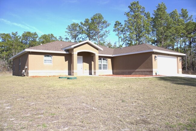 15433 Scaup Duck Ave in Brooksville, FL - Building Photo - Building Photo