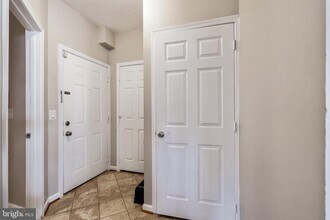 14301 Grape Holly Grove in Centreville, VA - Building Photo - Building Photo