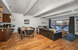 450 S Pine St in Telluride, CO - Building Photo