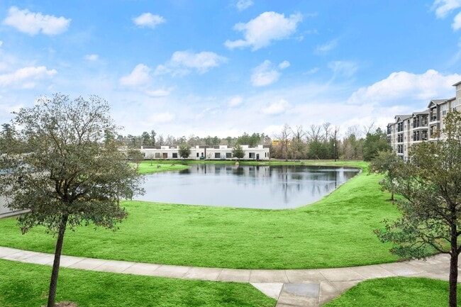 property at 30685 FM2978