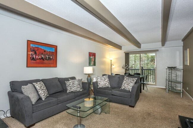 9339 CO-9 in Breckenridge, CO - Building Photo - Building Photo