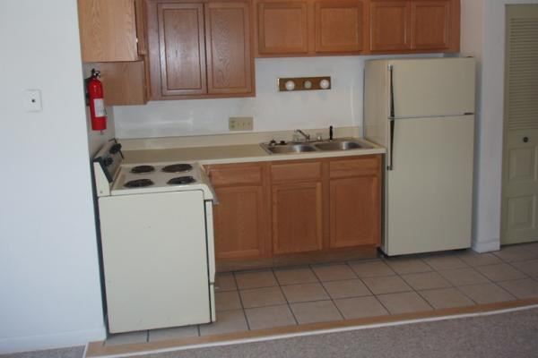 217 W Main St in Milan, MI - Building Photo - Building Photo
