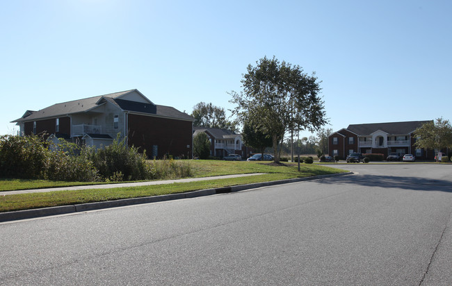 Springdale Apartments in Ayden, NC - Building Photo - Building Photo