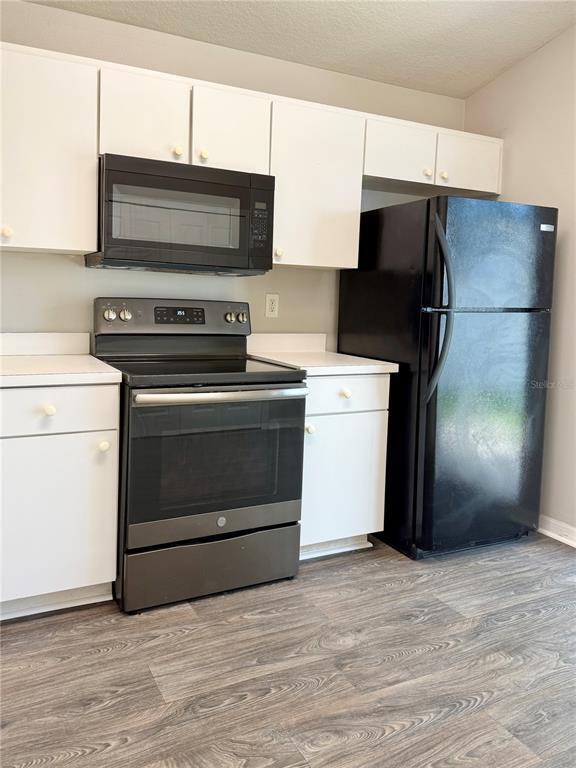 28510 Seashell Ct in Wesley Chapel, FL - Building Photo - Building Photo