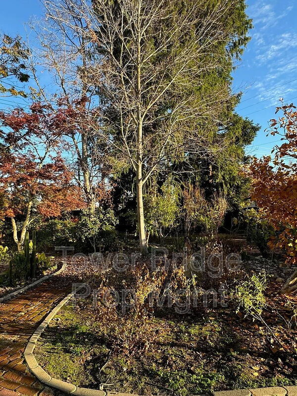 3154 53rd St in Sacramento, CA - Building Photo - Building Photo