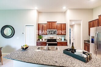 10621 Sweet Sapling St in Riverview, FL - Building Photo - Building Photo