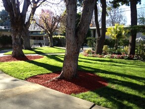 Driftwood Apartments in San Jose, CA - Building Photo - Building Photo