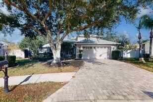 8743 Maple Pond Ct in Trinity, FL - Building Photo