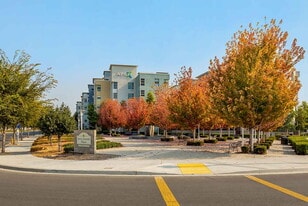 Apex in Milpitas, CA - Building Photo