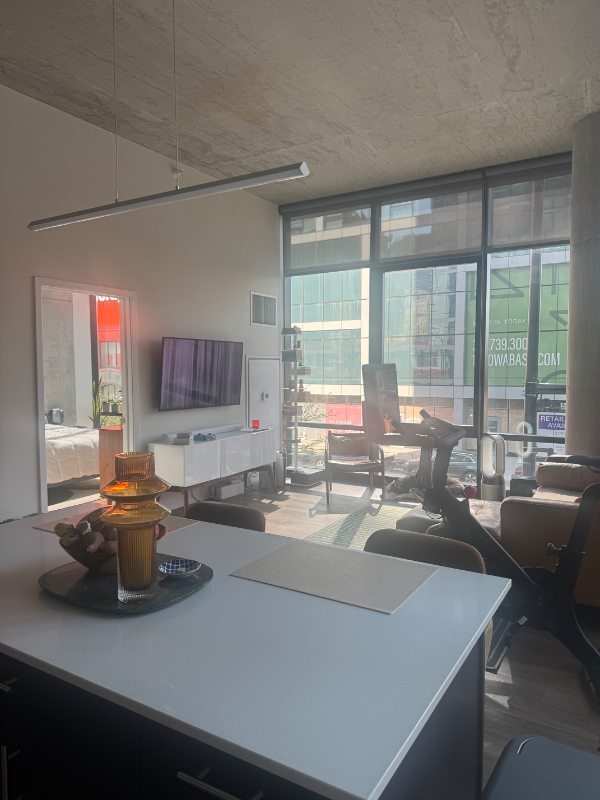 51 E 14th St in Chicago, IL - Building Photo - Building Photo