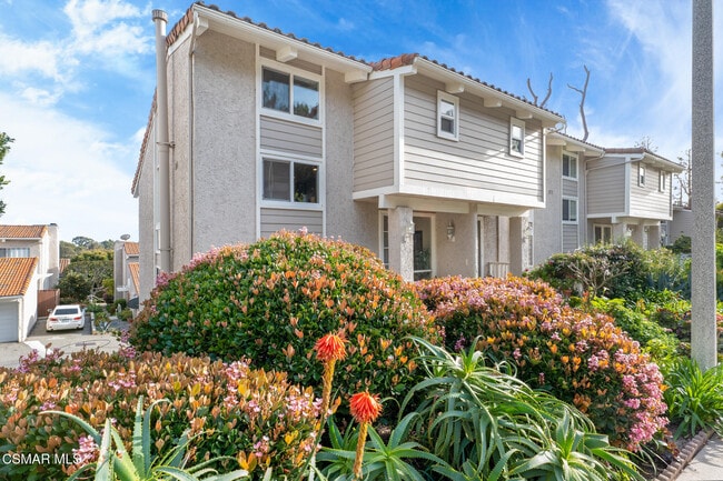 property at 28258 Rey De Copas Ln