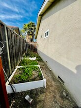 2642 Aborn Rd in San Jose, CA - Building Photo - Building Photo