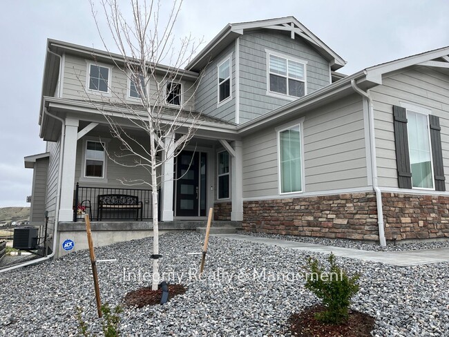 1005 Earmark Ln in Castle Rock, CO - Building Photo - Building Photo