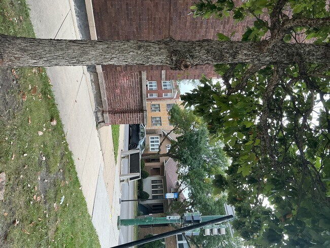1359 N Central Ave in Chicago, IL - Building Photo - Building Photo