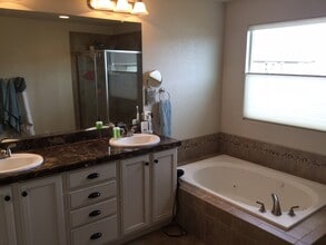 3826 Cosmos Lane in Fort Collins, CO - Building Photo - Building Photo