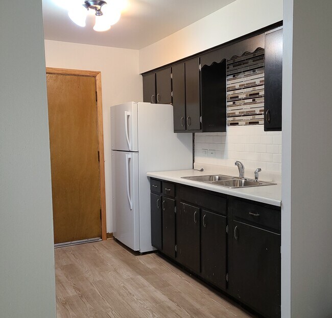 317 N Harvard Ave in Villa Park, IL - Building Photo - Building Photo