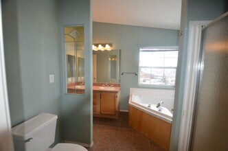 107 Bobwhite Way in Frisco, CO - Building Photo - Building Photo