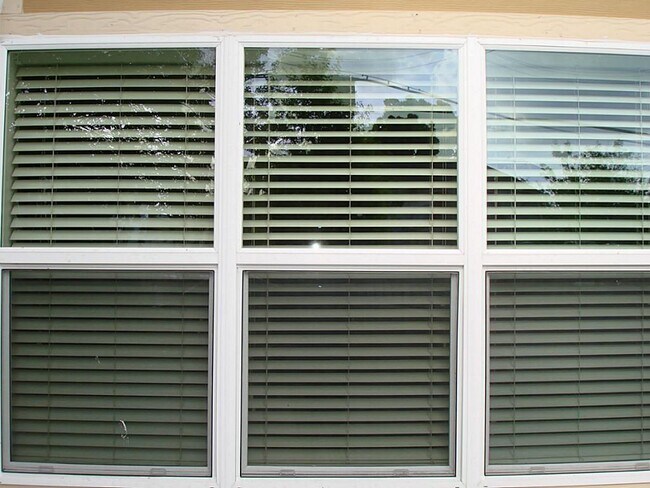 1815 Commonwealth St-Unit -6 in Houston, TX - Building Photo - Building Photo