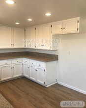 842 Bonita Dr in Encinitas, CA - Building Photo - Building Photo