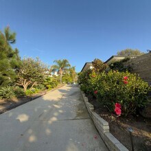 1685 Burgundy Rd in Encinitas, CA - Foto de edificio - Building Photo