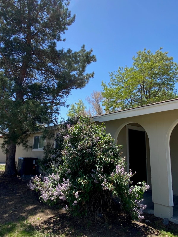 4505 Dos Rios Ct in Reno, NV - Building Photo - Building Photo
