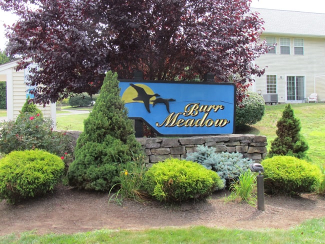 property at 407 Spring Meadow Rd