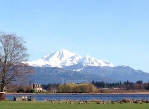 129 E Wiser Lake Rd in Lynden, WA - Building Photo - Building Photo