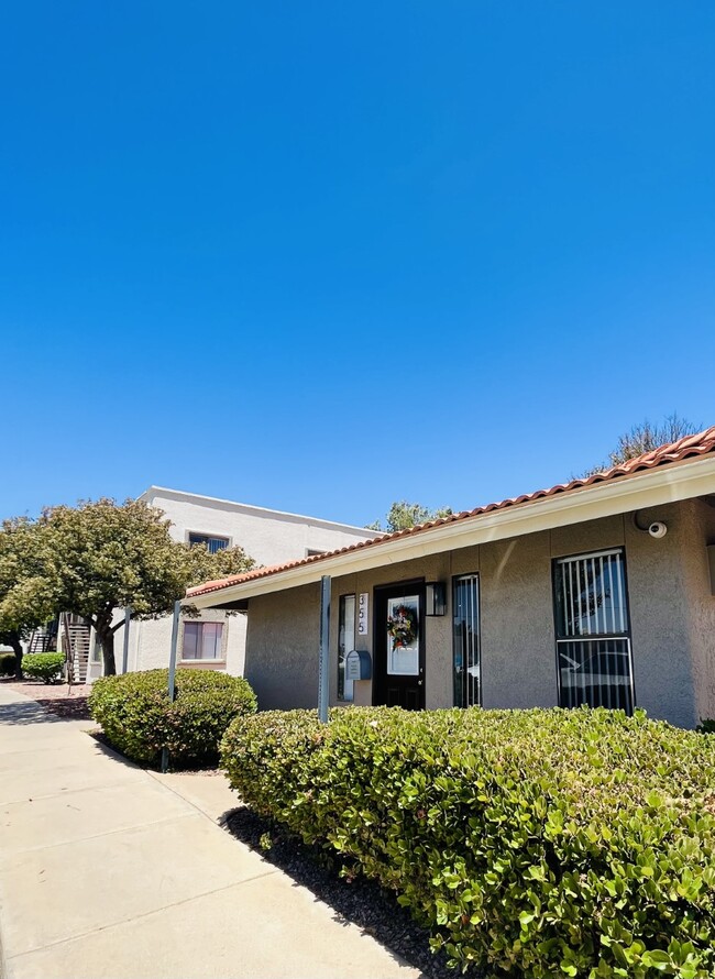 Falcon Court Apartments in Sierra Vista, AZ - Building Photo - Building Photo