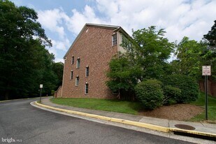 6411 Velliety Ln in West Springfield, VA - Building Photo
