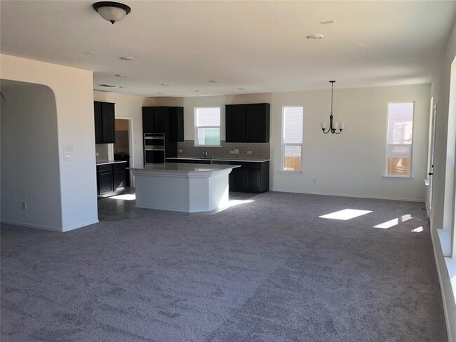 100 Passiflora Dr in Georgetown, TX - Building Photo - Building Photo