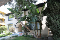 114 N Clark Dr in Beverly Hills, CA - Building Photo - Building Photo