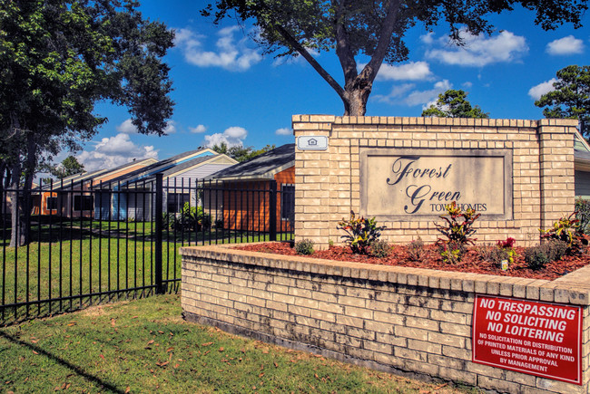 Forest Green Townhomes in Houston, TX - Building Photo - Building Photo