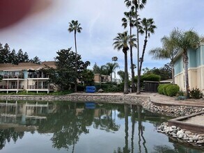 6241 Riverside Bl in Sacramento, CA - Building Photo - Building Photo